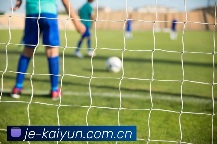 开云（中国）kaiyun·官方网站-网页版登录入口 安全专家